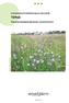 Inventering och bedömning av naturvärde. Täfteå. Planerad detaljplaneändring i Umeå kommun. Produktion: Enetjärn Natur AB