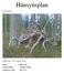 Hänsynsplan. Norsjö distrikt. Lapphusliden Foto Torbjörn Åhman. Datum: Sammanställd av: Torbjörn Åhman Uppdateras senast: