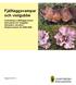 Fjälltaggsvampar och violgubbe Inventering av fjälltaggsvampar (Sárcodon) och violgubbe (Gomphus clavatus) i Södermanlands län