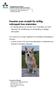 The canine as a model organism for hereditary retinopathy in humans