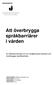 Att överbrygga språkbarriärer i vården