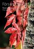 Församlingsblad. höst 2012 Norra Hagunda församling. Vänge, Läby, Järlåsa, Skogs-Tibble, Åland
