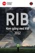 RIB. Kom igång med RIB