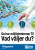 Du har möjligheternas TV. Vad väljer du?