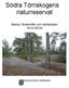Södra Törnskogens naturreservat. Beslut, föreskrifter och skötselplan
