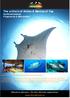 The critters of Anilao & Mantas of Yap Kombinationsresa Filippinerna & Mikronesien