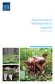 Åtgärdsprogram för bevarande av violgubbe. (Gomphus clavatus)