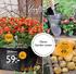 Vårflirt 19:- Nyhet. Gammal favorit i ny tappning som tål frost. Dags förgro för potatis till midsommar! Toffelblomma. Namn Garden center.