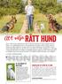 HUNDEN. rätt hund. Bruks Text: Kerstin malm foto: kerstin malm & shutterstock. At t välja. Tema: