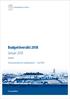 Budgetöversikt 2018 Januari 2018