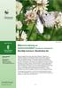 Miljöövervakning av mnemosynefjäril (Parnassius mnemosyne)