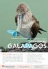 GALAPAGOS 2019 UPPLEV HAMMARHAJ HAVSLEGUANER SKÖLDPADDOR SJÖLEJON AMBASSADÖR MAGNUS LUNDGREN