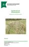 Agroforestry på Stationsmossen