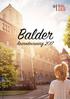 Balder. Årsredovisning 2017