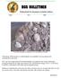 Årg 9 Nr Fossil från Osmundsberg i Siljansringan. Foto och samling Per Wretling