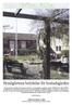 Rymlighetens betydelse för bostadsgården. GRONA FAKTA 4/2005 Gröna Fakta produceras i ett samarbete mellan Utemiljö och Movium