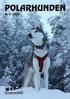 Artiklar och bilder till POLARHUNDEN sänds till: Mia Karacs, Heavägen 47, Särna E-POST: Tel: