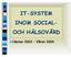 IT-SYSTEM INOM SOCIAL- OCH HÄLSOVÅRD. Hösten 2003 Våren 2004