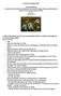 Lesson/Learning study