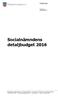 Socialnämndens detaljbudget 2016