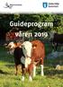 Guideprogram våren 2019