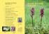 Svensk Botanisk Tidskrift 99(2): (2005) ISSN X, Uppsala 2005 INNEHÅLL. Volym 99 Häfte