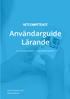 Användarguide Lärande
