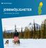 JOBBMÖJLIGHETER. i Norrbottens län 2018