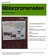 Mälarpromenaden INVENTERINGSRAPPORT. Botkyrka kommun. Naturen på lika villkor. Datum: 20/ och 9/8 2016