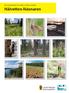 Bevarandeplan för Natura 2000-området. Hålvetten-Näsnaren