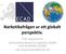 Narkotikafrågan ur ett globalt perspektiv. Erik Leijonmarck Generalsekreterare Europeiska Städer mot Narkotika (ECAD)