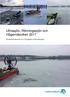 Ullnasjön, Rönningesjön och Hägernäsviken Fysikalisk-kemiska och biologiska undersökningar