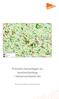 Precisera karteringen av kontinuitetskog i Västernorrlands län. Metria AB på uppdrag av Naturvårdsverket