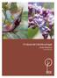 3. Daggros, Rosa glauca 8. Syren, Syringa vulgaris Norrfjärden E. friväxande häckbuskage