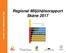 Arbets- och miljömedicin Syd. Regional Miljöhälsorapport Skåne 2017