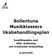 Sollentuna Musikklassers likabehandlingsplan med handlingsprogram mot våld, mobbning och kränkande behandling.