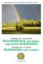 Druidstämma med ballotering. Eubatmöte med reception. därefter Eubatmöte. Måndagen den 26 september. Måndagen den 10 oktober