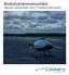 Bokslutskommuniké. Januari-December 2017 CybAero AB (publ)