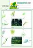 SKOGSNÖTEN p. 1. Vilka växter känner du igen?vilka två skogstyper ser du på bilderna. b c. g h. 5-8 cm. Namn. Skola. Kommun.