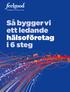 årsredovisning 2009 Så bygger vi ett ledande hälsoföretag i 6 steg