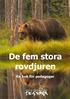 De fem stora rovdjuren En bok för pedagoger