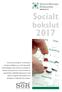 Socialt bokslut 2017