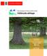 Källeryds ekhage. Bevarandeplan för Natura 2000-område. Områdeskod SE Bevarandeplanen fastställd/reviderad