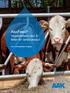 AkoFeed Vegetabiliska oljor & fetter för lantbruksdjur. The Co-Development Company