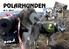 Artiklar och bilder till POLARHUNDEN sänds till: Mia Karacs, Heavägen 47, Särna E-POST: Tel: