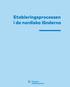 Etableringsprocessen i de nordiska länderna