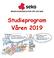 BRANSCHORGANISATION VÄG OCH BAN. Studieprogram Våren 2019