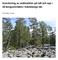 Inventering av vedinsekter på tall och asp i 20 bergsområden i Gävleborgs län. Olof Hedgren, Uppsala