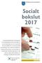 Socialt bokslut 2017