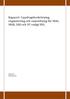 Rapport: Uppdragsbeskrivning, organisering och samordning för MAS, MAR, SAS och VC enligt HSL